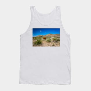 Criollo Cattle on the Open Range Tank Top